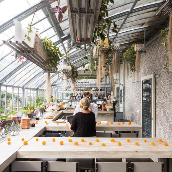 import blog slider le serre dei giardini margherita diventano il nuov 16