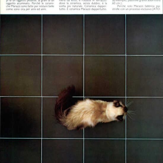 import blog slider ladv che segna le epoche 6