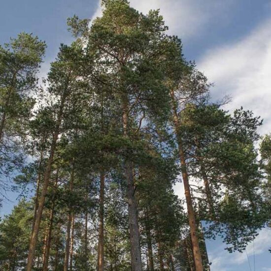 Il design e i suoi valori guideranno il cambiamento