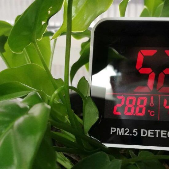 Poche mosse per garantirsi  un’aria indoor salubre