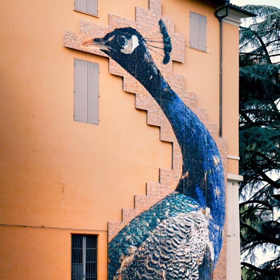 Marazzi Curiosa Meravigliosa 21