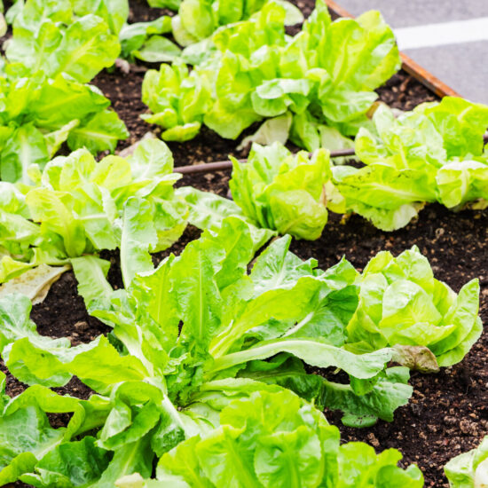 Marazzi Group Tile Week 2024 0294