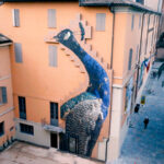 2022 Curiosa Meravigliosa