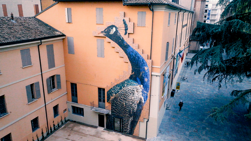 2022 Curiosa Meravigliosa