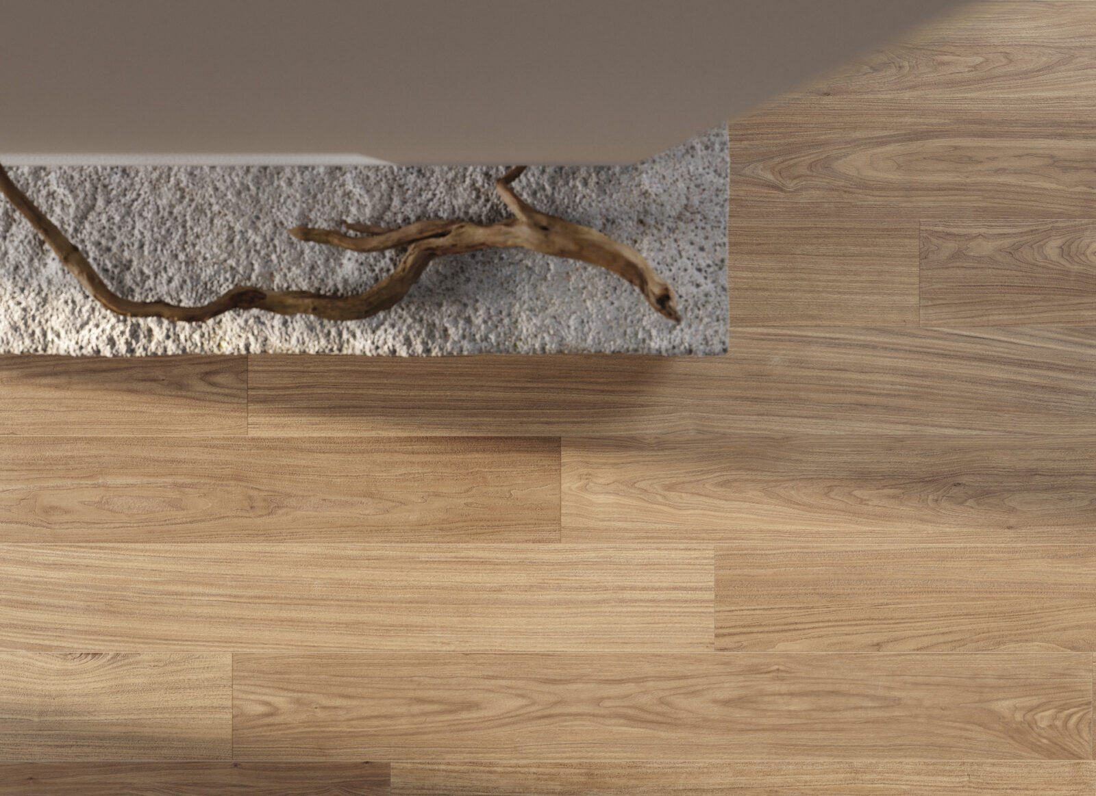 marazzi nobilis 013.jpg