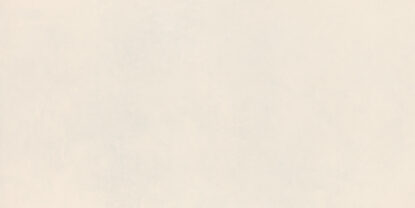 marazzi poster mcsn.jpg