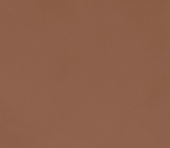 marazzi poster mcts.jpg