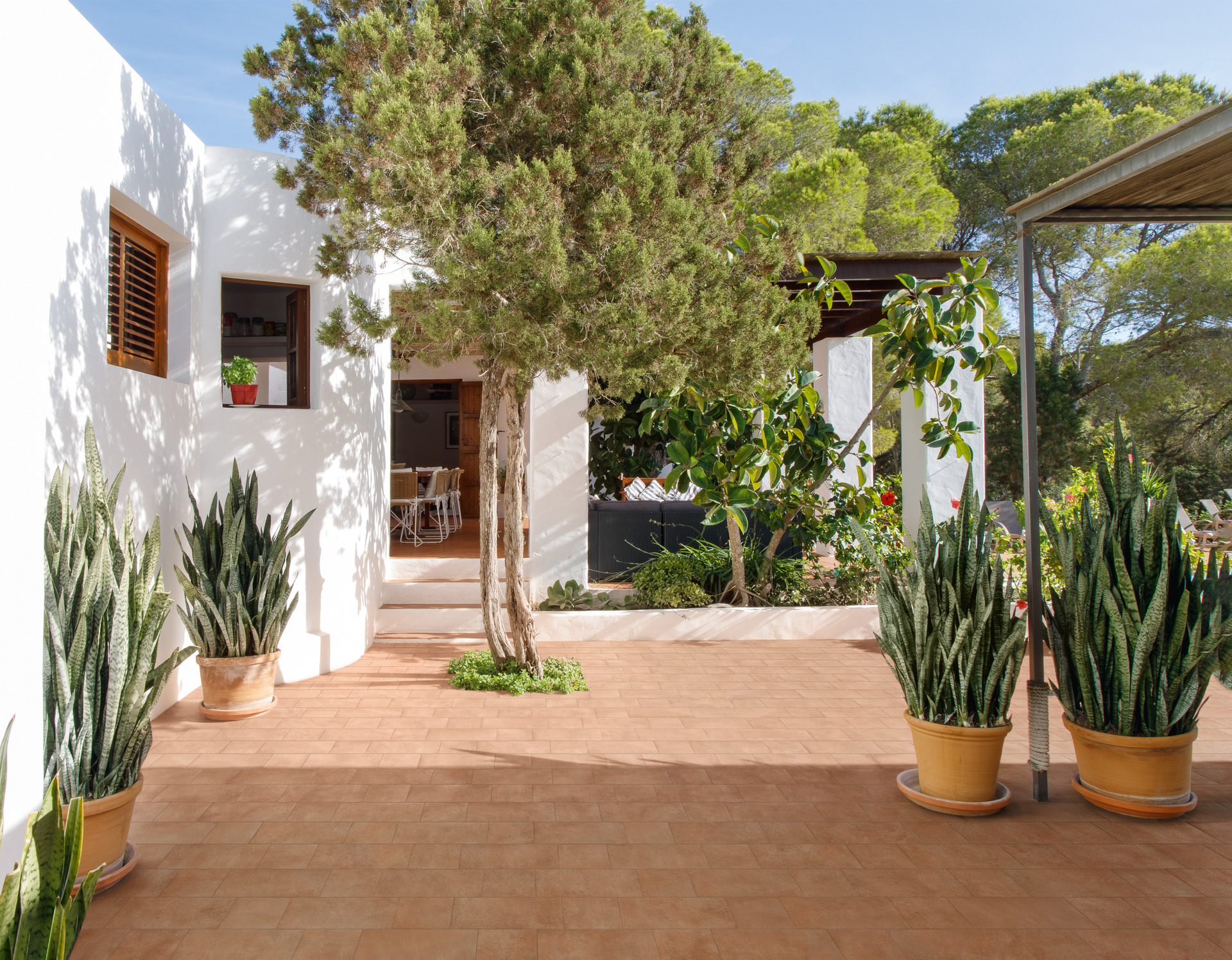 marazzi sentieri 005.jpg