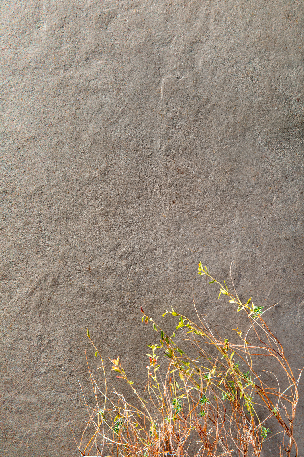 marazzi terratech 015.jpg